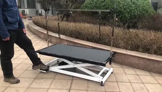 Heavy Dog Grooming Table Pet Show Tables for Wholesaler High