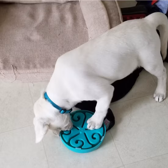 사랑과 재미 모양의 애완 동물 슬로우 푸드 쿠션 식품 등급 실리콘 냄새 슬로우 푸드 쿠션 질식 방지 및 청소가 쉬운 개 피더