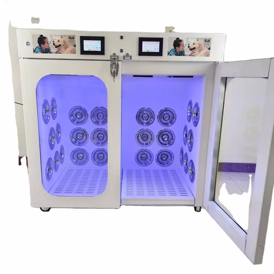 뜨거운 판매 2 in 1 애완 동물 헤어 드라이어 룸 장비 드라이 룸 기계 자동 애완 동물 건조기 캐비닛